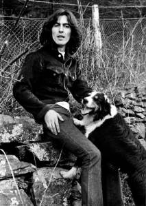 george with a border collie